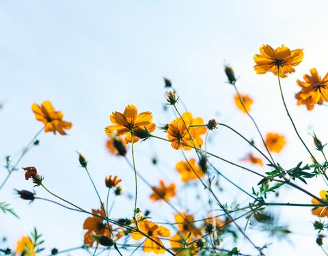 Spring Self Care: A New Beauty Routine